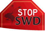 Stop SWD