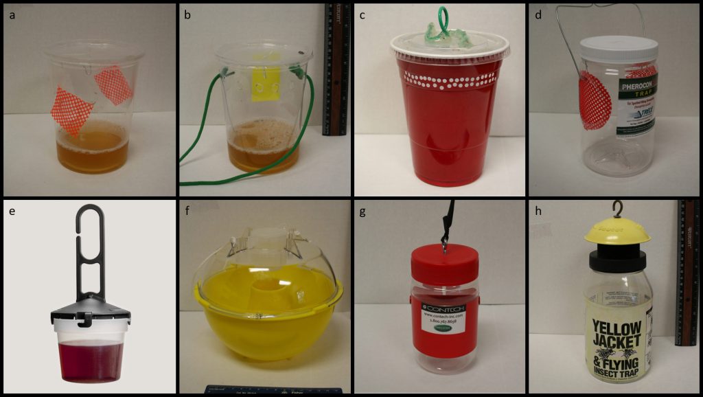 Various traps used to monitor and control adult Drosophila suzukii.